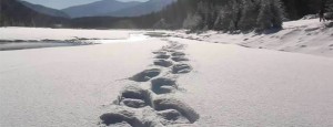 WHY YOU SHOULDN’T HEAD NORTH