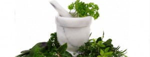 NATURAL REMEDIES IN THE ZOMBIE PLAGUE