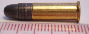 .22 LR FOR ZOMBIE SURVIVAL