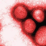 IN SEARCH OF DEADLY ANCIENT VIRUSES