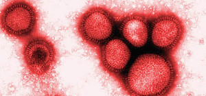 IN SEARCH OF DEADLY ANCIENT VIRUSES
